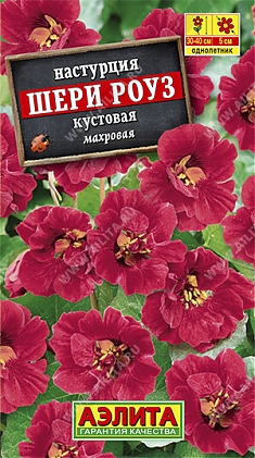 Шери Роуз 1г