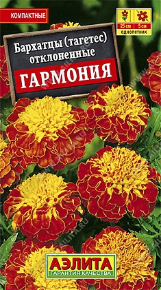 Гармония