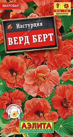 Верд Берт 1г