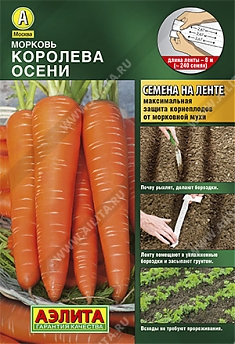 Королева осени 8м 