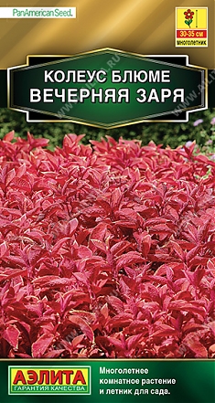 Вечерняя заря 10шт