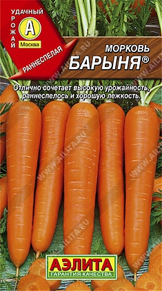 Барыня