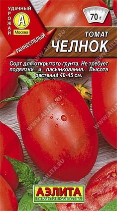 Челнок
