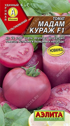 Мадам Кураж