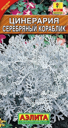 Серебряный кораблик 0,1г