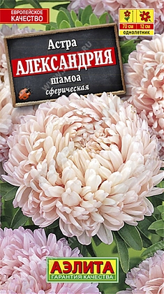 Александрия шамоа 0,1г