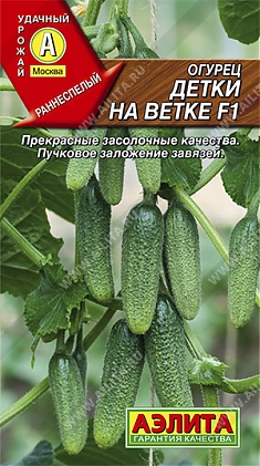 Детки на ветке F1  10 шт