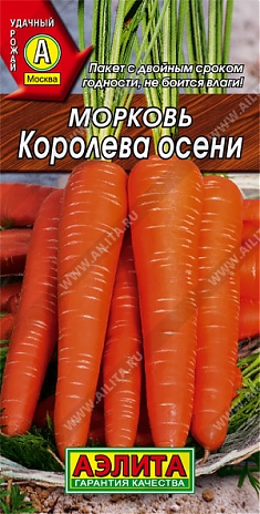 Королева осени 2г