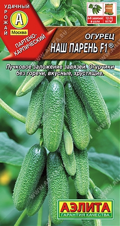 Наш парень F1  10 шт