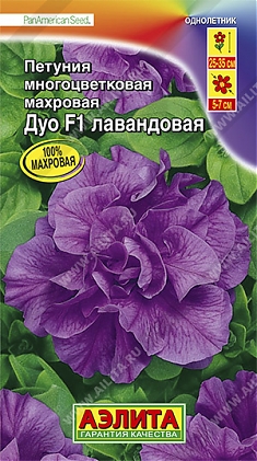 Лавандовая F1 10шт