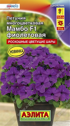 Мамбо фиолетовая F1 7шт