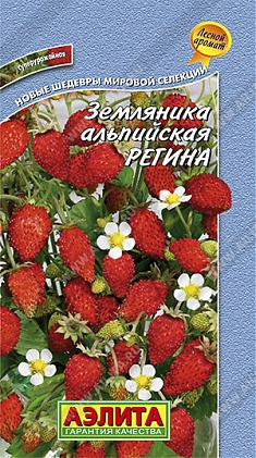 Регина