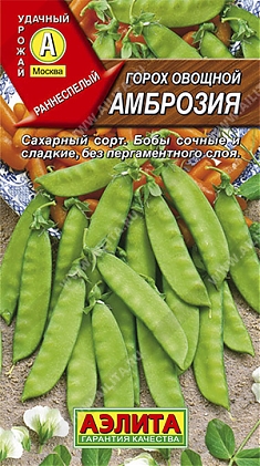 Амброзия 
